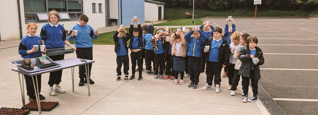 <a href="/Gnmgreenteam/">GlórnamaraGreenTeam</a> helped jun &amp; sen infants to plant veg seeds &amp; flowers, earthed up the spuds, potted on sunflower seedlings with 3rd class, planted more peas &amp; prepped the raised beds. Ensured all the seedlings were lovely and damp before weekend <a href="/GreenSchoolsIre/">Green-Schools</a> <a href="/TramoreEcoGroup/">Tramore Eco Group</a>