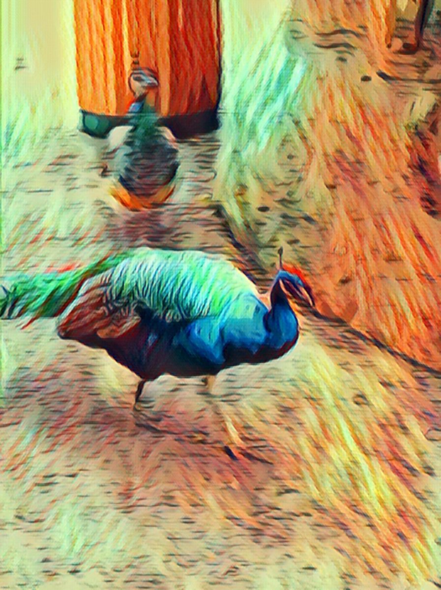 MightyelfFC tweet media