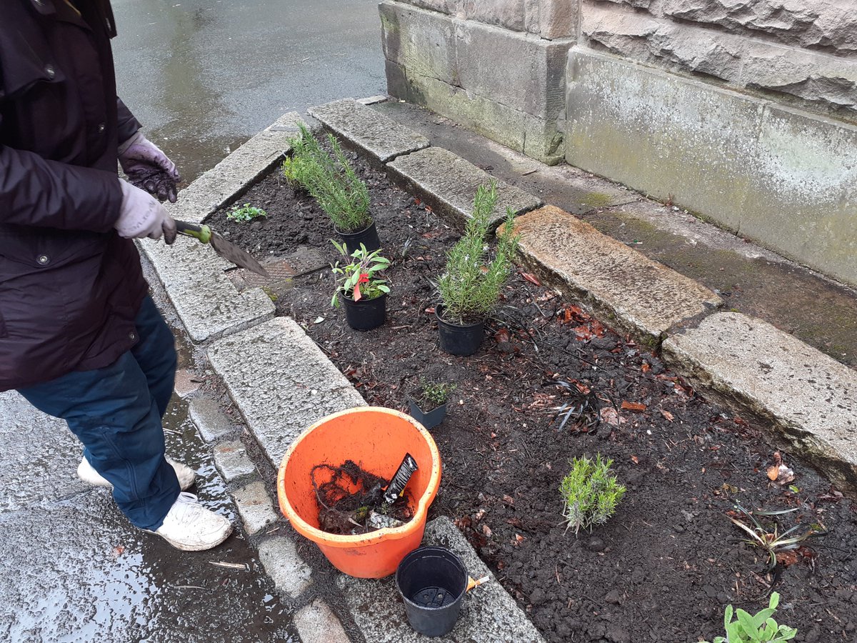 GardenSacro's tweet photo. Today we spruced up the  flower beds outside Tollcross Park Animal Farm with a lovely variety of mediterranean herbs which should last a few years and please passersby including our winged pollinator friends! @Tollcrosspark @GlasgowCC https://t.co/bbl5VuCZth