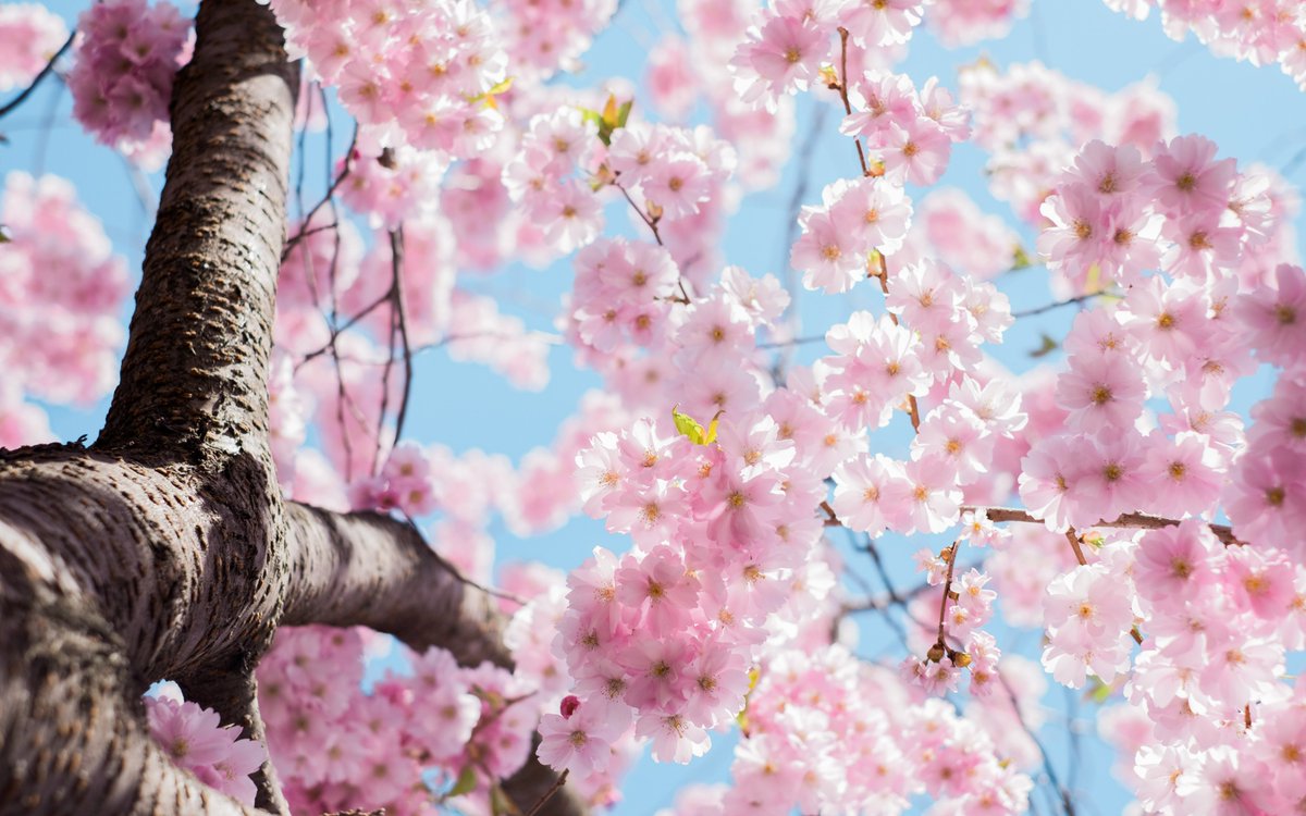 We will be closing for the spring bank holiday on Monday 1st May  and will be returning to our normal opening hours on Tuesday 2nd May.

If you need assistance during this time please contact the National Domestic Abuse Helpline run by <a href="/RefugeCharity/">Refuge</a>   on 0800 2000 247