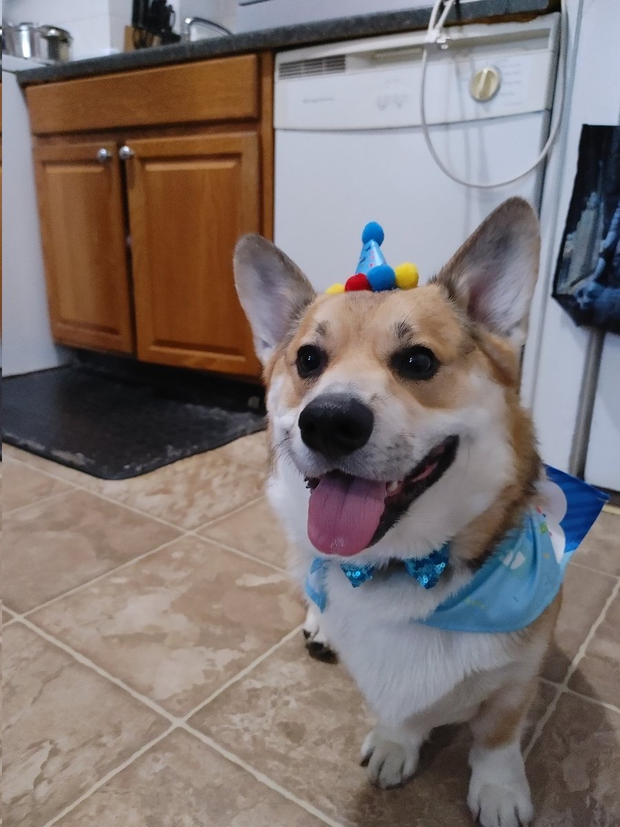 VegetenZ's tweet photo. @mask_bastard It was his Birthday! https://t.co/5fM019ssqa