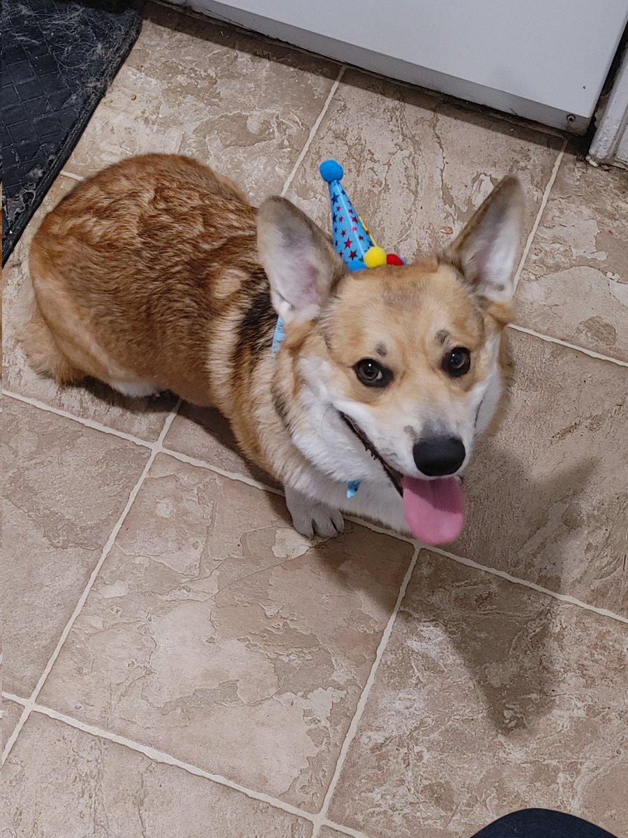 VegetenZ's tweet photo. @mask_bastard It was his Birthday! https://t.co/5fM019ssqa