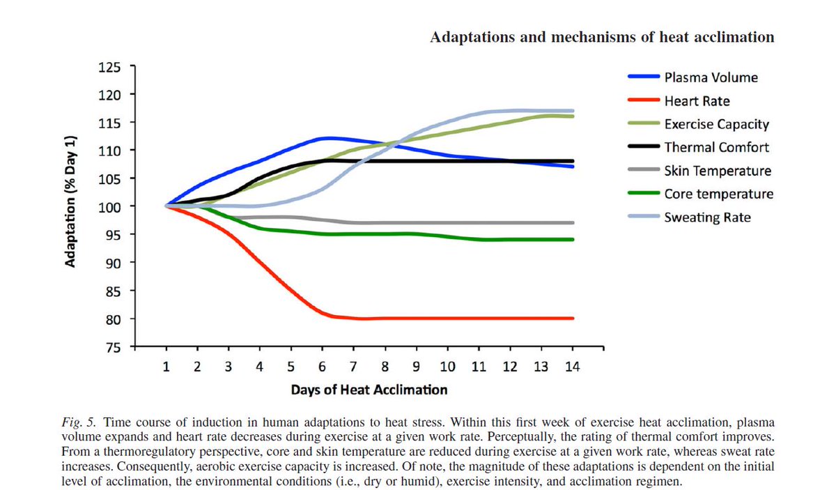 Gareth_Sandford's tweet photo. Coaches preparing for hot competitions, 

The minimum timeline to acclimatize is five consecutive days of 60-90 minutes exercise in competition temperature.

Alternative option, 5 post-exercise saunas, starting at 15 and building up to 25 minutes.

More days, greater adaptation. https://t.co/RYTVYWYhVY
