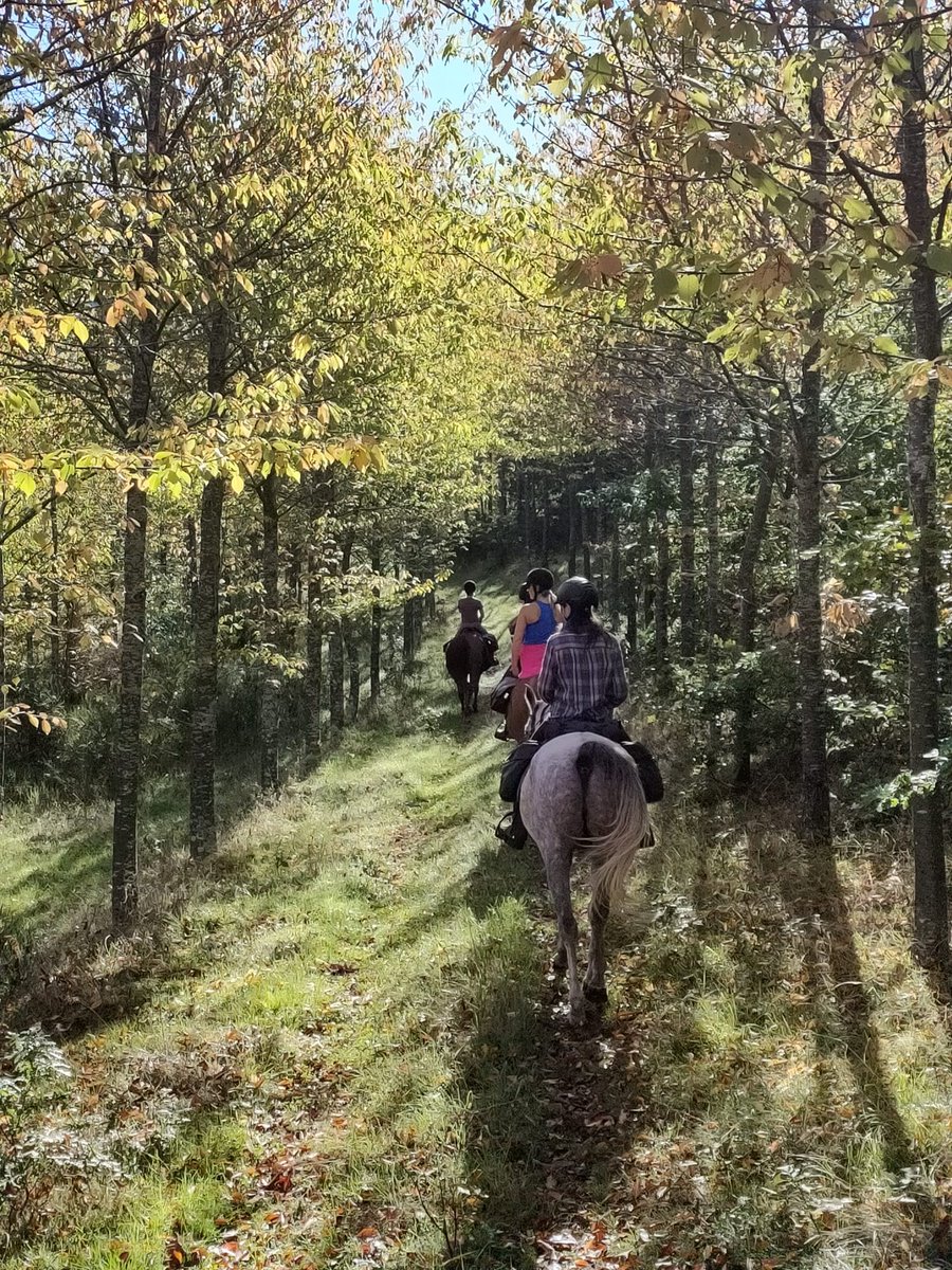 Randocheval's tweet photo. Vous faites quoi pour le weekend du 8 Mai ?... 😉
L'Ardèche vous attend, il reste exceptionnellement des places pour ce week-end prolongé !
✅ 3 jours / 470 €/pers
➡️ Plus d'infos : https://t.co/Wjs2nypZgC https://t.co/jQz8y6eoCF