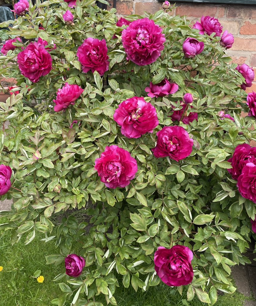 Simon Gilby tweet media