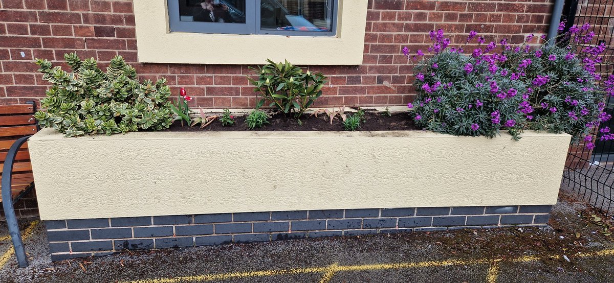 MrsJLOreilly's tweet photo. A group of year 7 students really enjoyed planting flowers around the school site this afternoon @BemroseSchool https://t.co/I0zTcml2Nn
