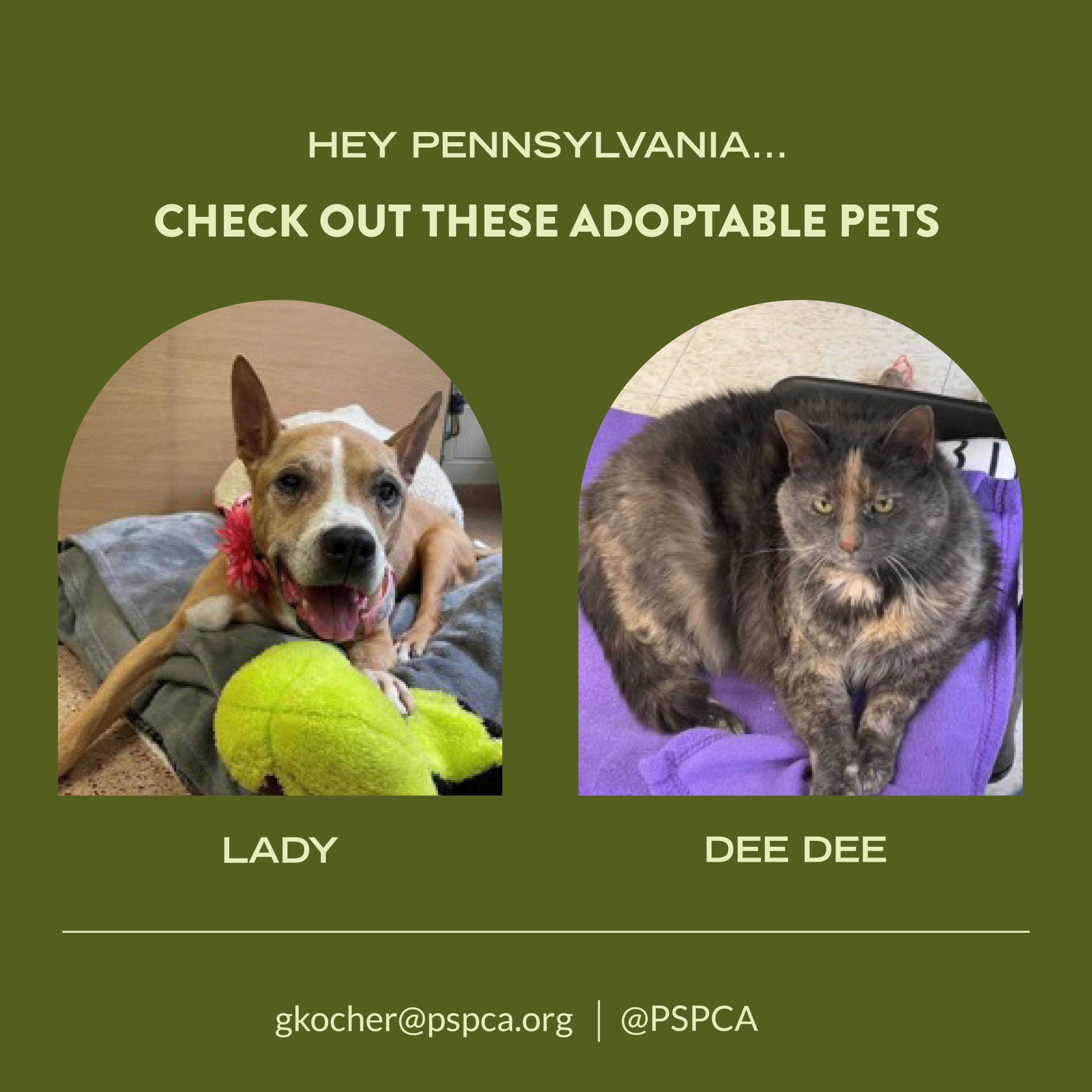 Freshpet (Freshpet) / Twitter