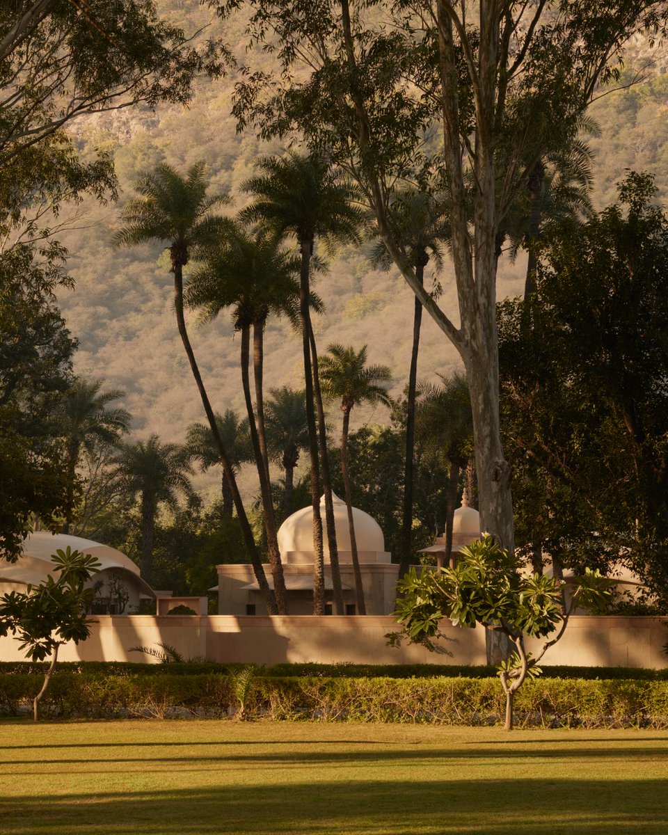 Amanresorts's tweet photo. Ride out from #Amanbagh to explore the countryside of Rajasthan on Marwari horses, a rare breed heralded over the centuries for their bravery in warfare. Take chai with the villagers, who always extend their warmest hospitality to visiting guests.

https://t.co/rxgfIpwNNn https://t.co/ii6yNPdGbe