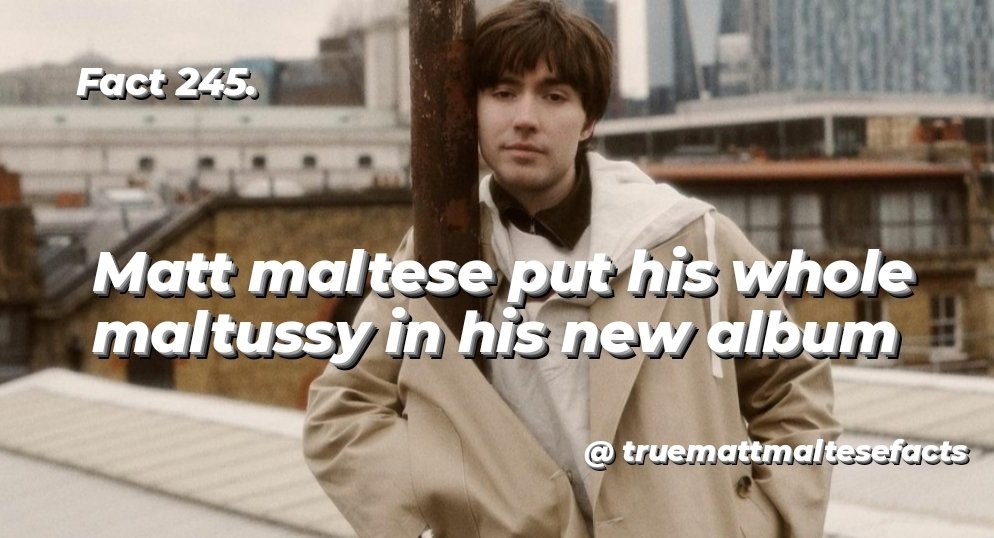 TrueMattMalteseFacts tweet media