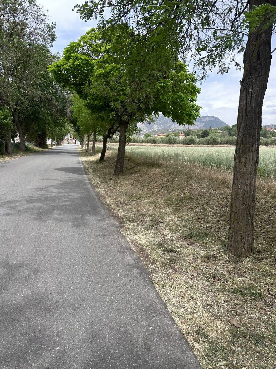Asuarezm's tweet photo. -Reposición de luminarias en alumbrado público.

-Jardinería, limpieza y desbroce en diversas zonas del municipio.

-Desinfección y limpieza de trazado viario con @BarredoraJun.

@AyuntamientoJun https://t.co/xHCk9T4sTx