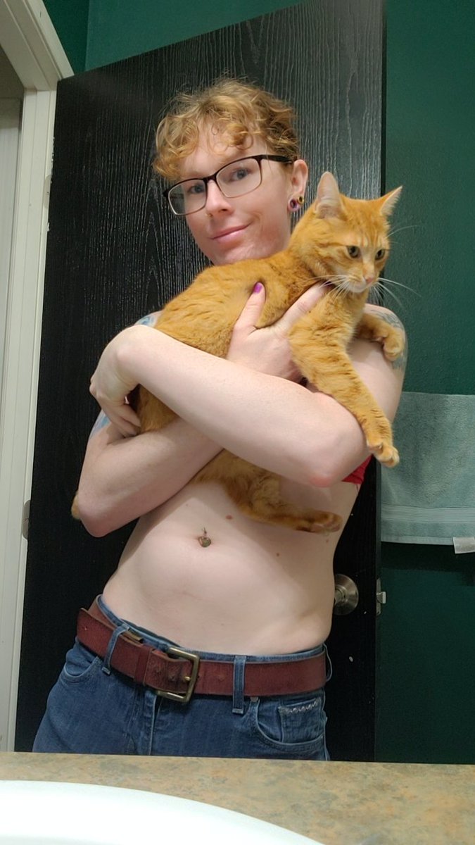 ambernitdown's tweet photo. This is my orange baby, Pepperoni Weasley. #CatsAreFamily 
#cats #ginger https://t.co/Vi4xHHFsIc