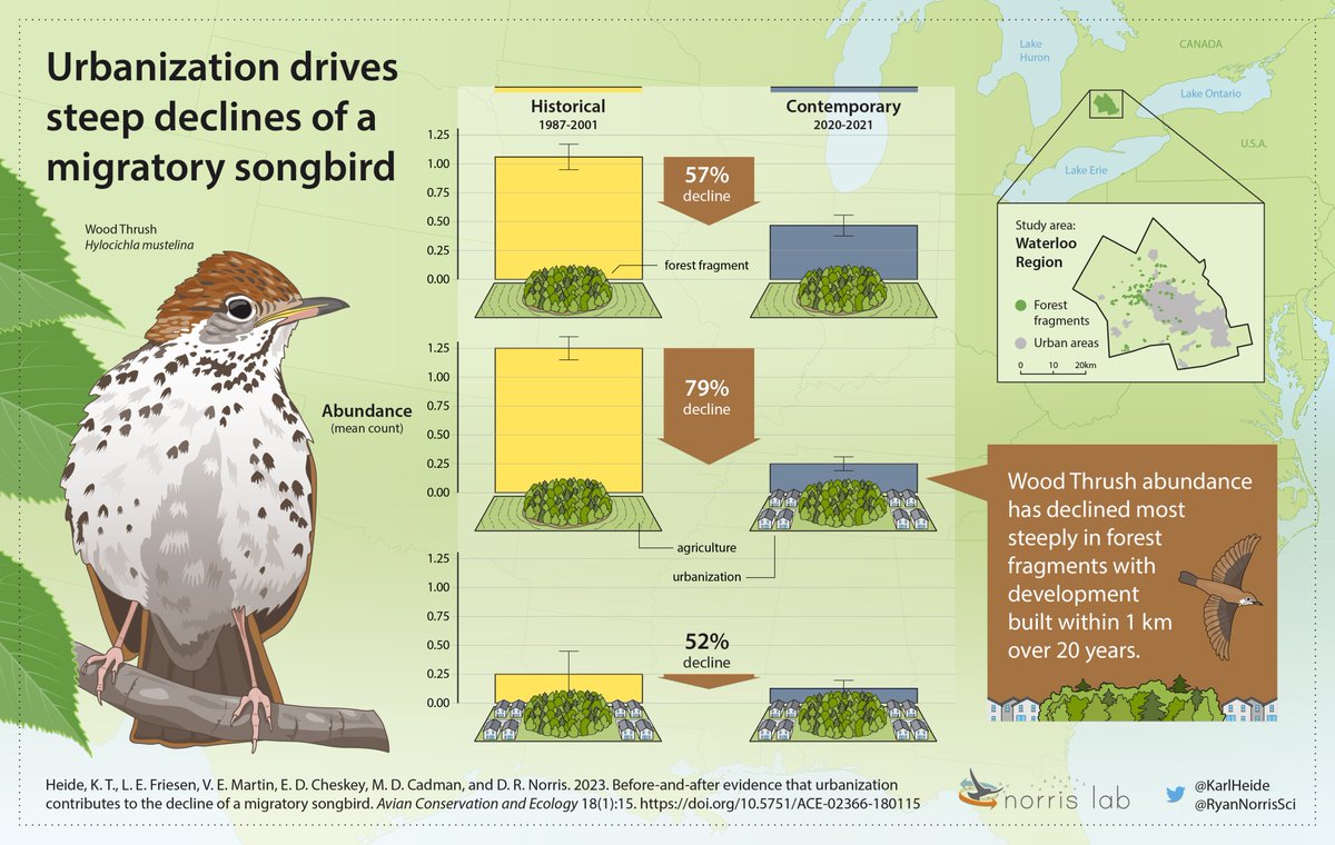 For those of you interested in how continuing urbanization can compromise our green spaces (like the #ONGreenBelt), here is some more evidence:

Housing development near forest fragments drives declines of a threatened migratory songbird

@KarlHeide 
@greenbeltca
@fordnation