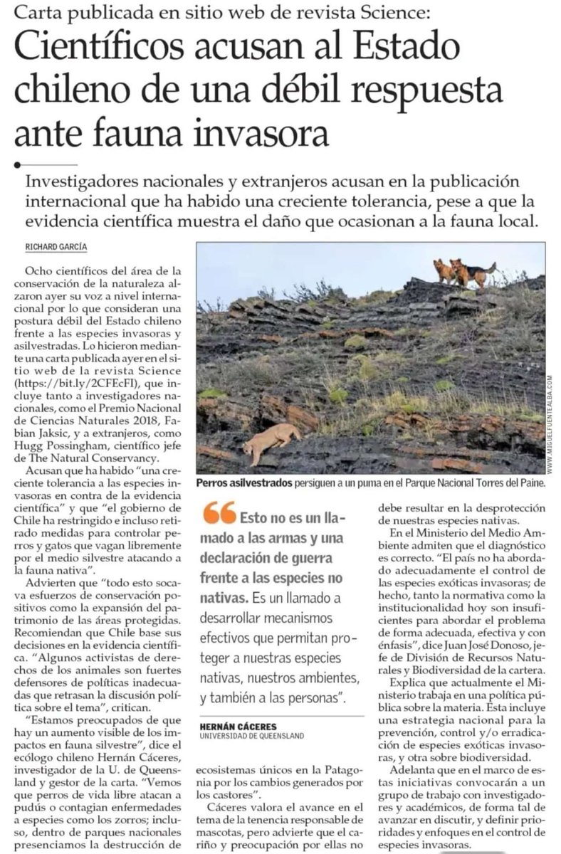 Pablo Vial Valdés tweet media