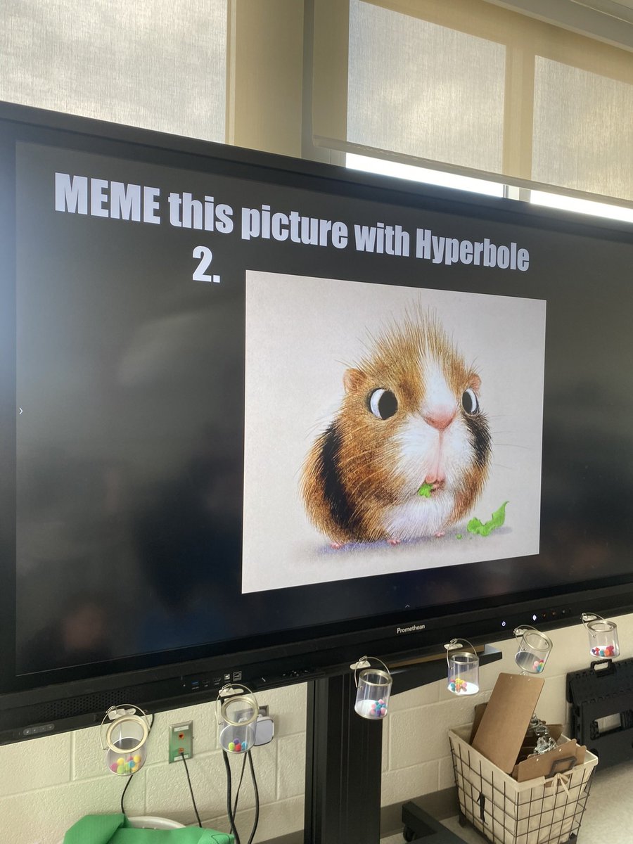 Malorie Engel tweet media