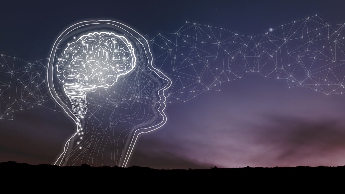 uOttawaResearch's tweet photo. Grâce à un don de 109 M$ du Fonds d’excellence en recherche Apogée Canada, la plus importante subvention jamais obtenue par @uOttawa, l’Interconnectome Cœur-Cerveau va révolutionner l’étude et le traitement des troubles neurologiques et cardiaques ➡️ https://t.co/RKOLtizMXI https://t.co/0fmaUZOyyE