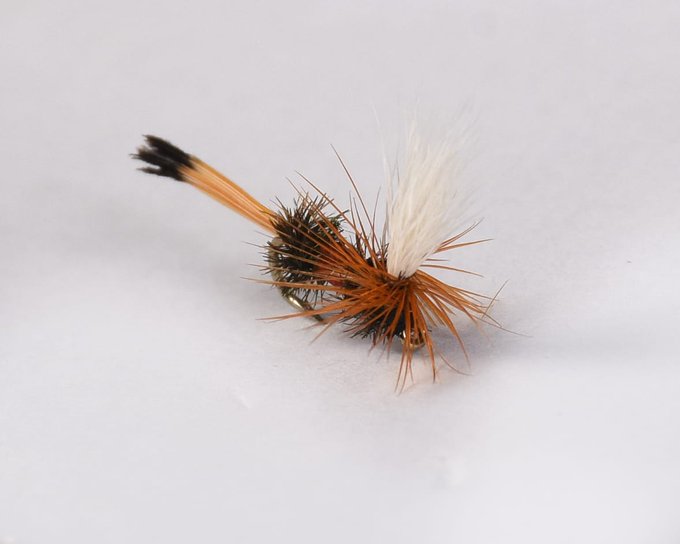 MaxedVentures's tweet photo. FISHING FLIES: Orders are delivered conveniently as agreed, our prices are very reasonable, and we work to strict deadlines. NOTE: All our flies are sold in dozen.
#NFLDraft
#JerrySpringer
#Anderson
#BryceYoung
#fridaymorning
#Bluesky
#GoodFriday
#Emmett
#Giannis
#Howie
#Crypto https://t.co/VFvPMw7JLV