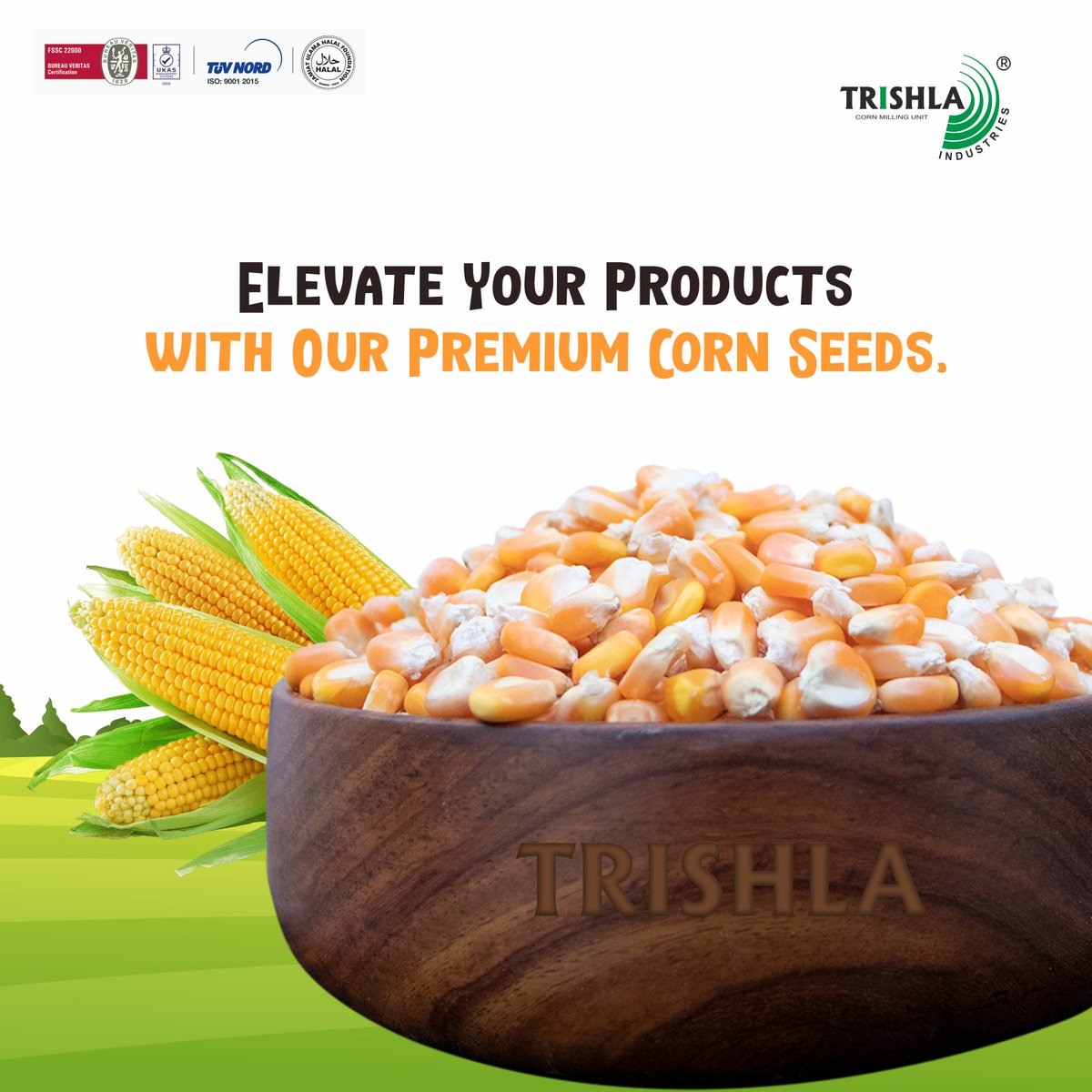 Trishlaind_2004's tweet photo. Looking to take your products to the next level? Elevate your game with our premium corn seeds! Our seeds are carefully selected and rigorously tested to ensure the highest quality crops. .

#PremiumCornSeeds #ElevateYourHarvest #HighQualityProducts https://t.co/Fv9Mya8td4