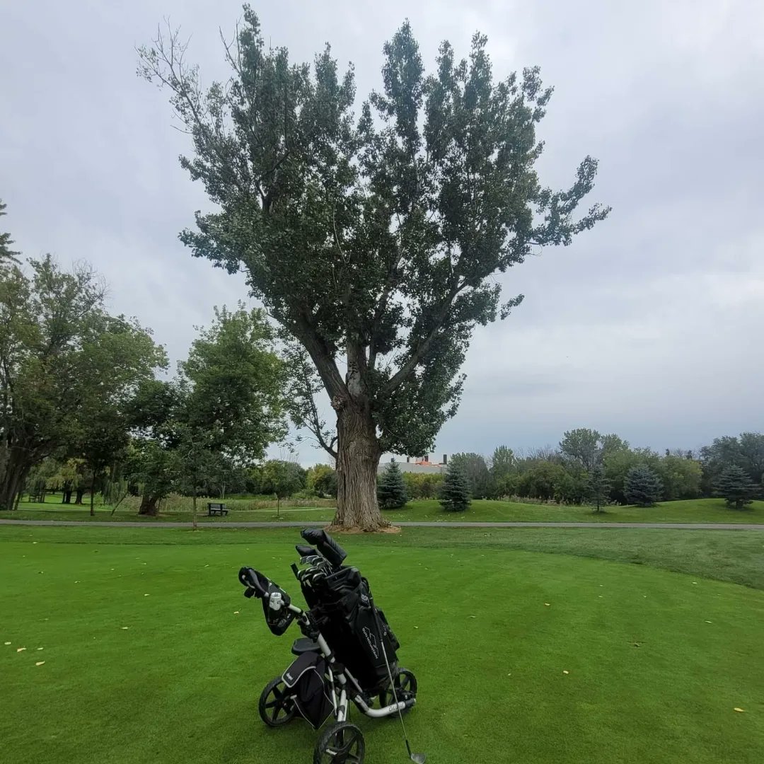 BenPlante18's tweet photo. @ClicgearCanada https://t.co/tabg8UQo74