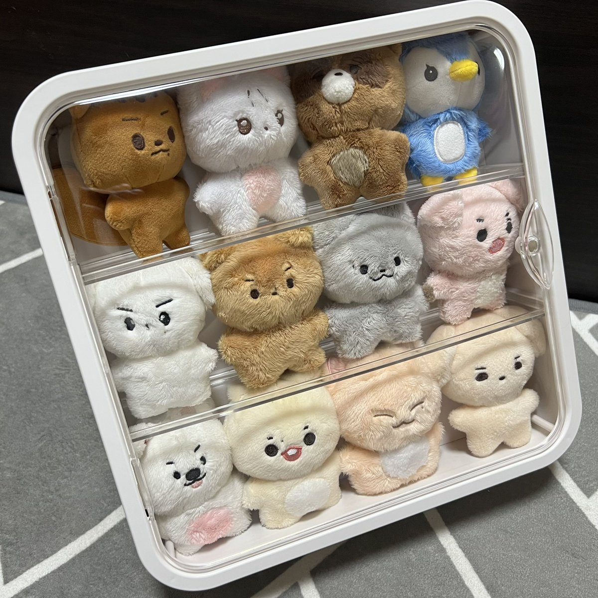 The_B_Hwaji's tweet photo. 어느새 인형정리함을 샀다고 합니다.jpg
생각보다 크기가 커서 놀램 https://t.co/GSBxhZLGJz