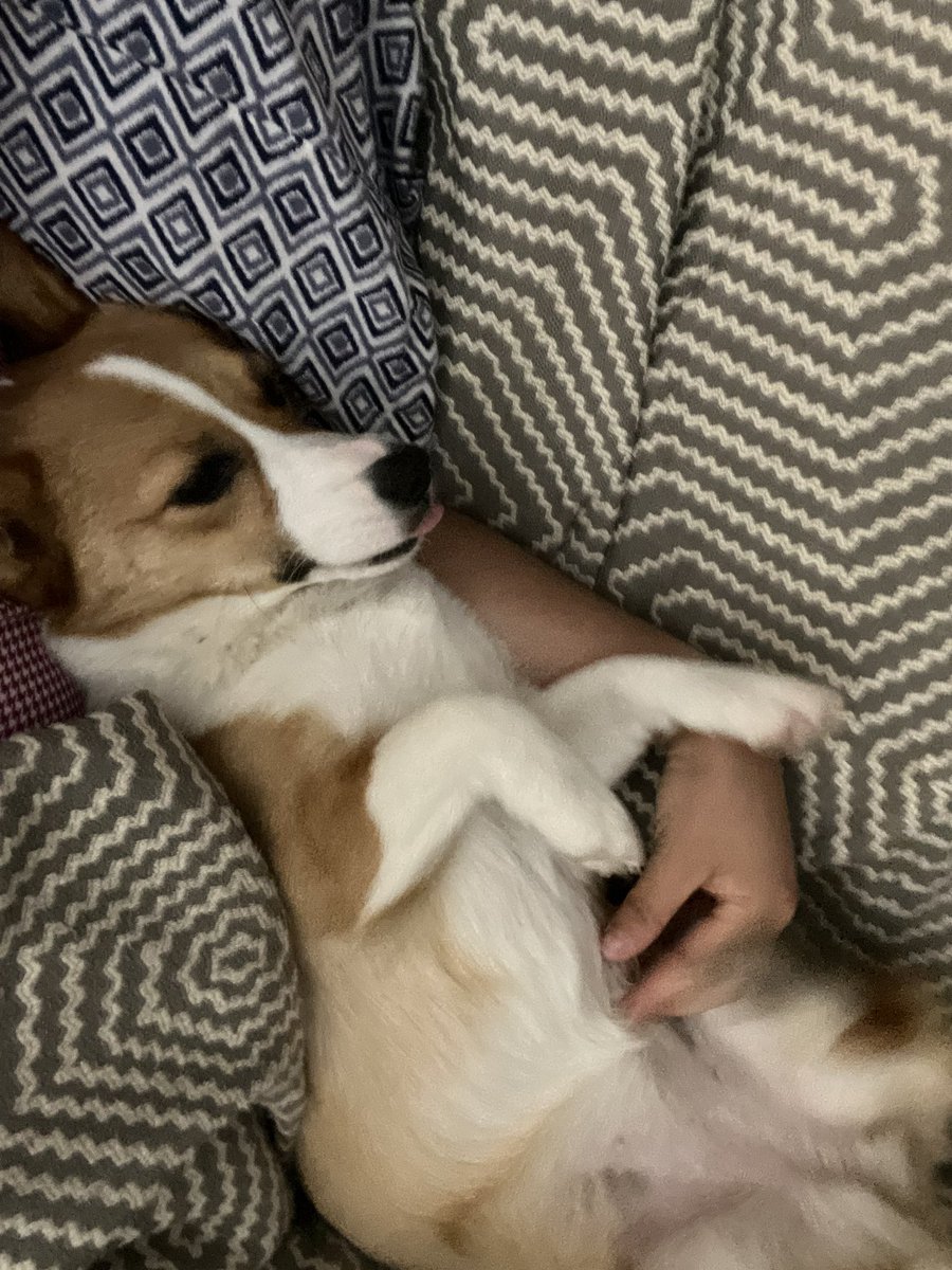 MorgRogers's tweet photo. Life is better with my needy girl🥰 https://t.co/qHKz8jh2Ml