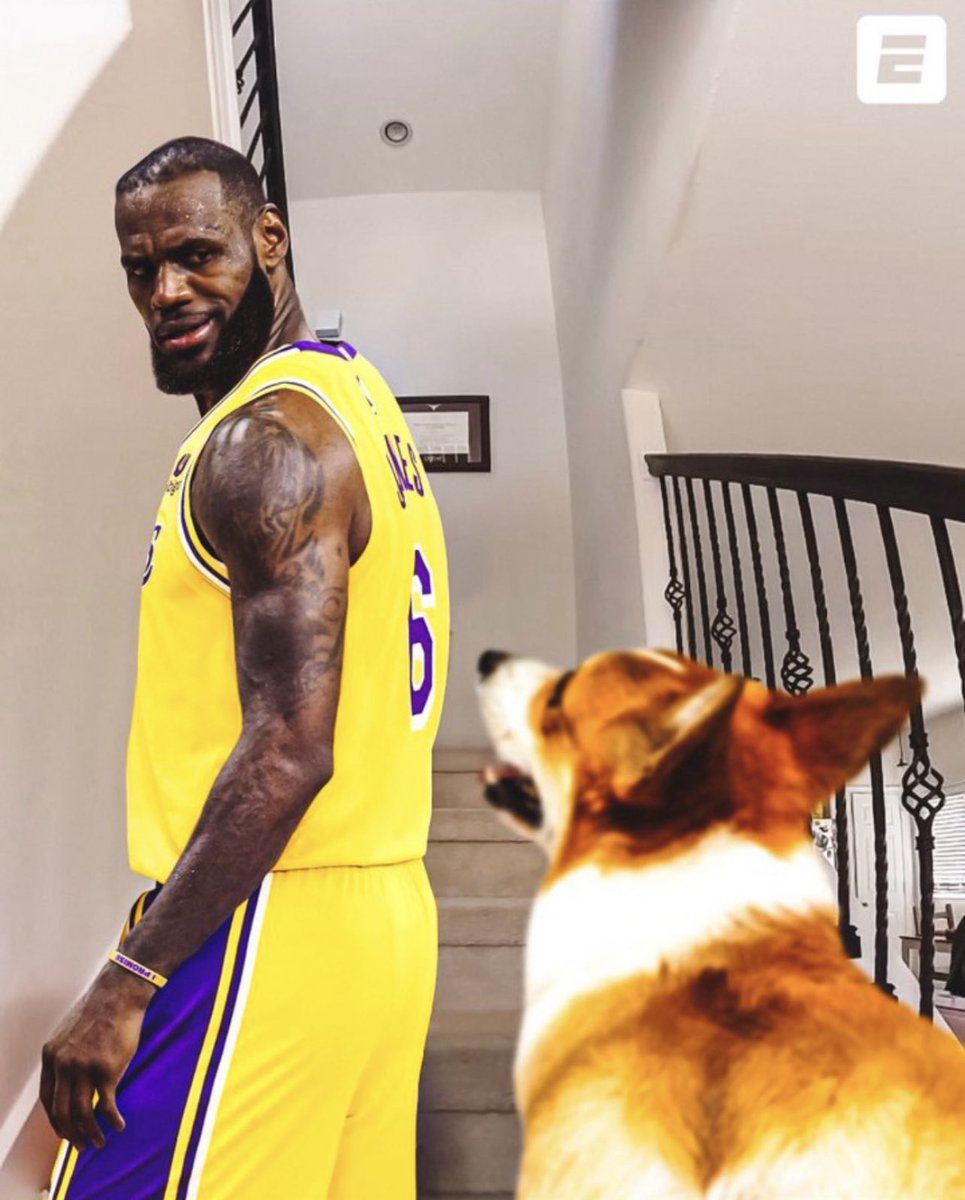 Rest easy (@gatoxfresco) on Twitter photo 