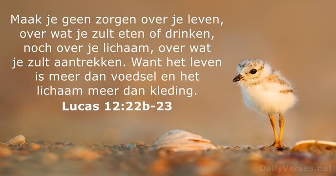 DailyVerses_nl's tweet photo. Lucas 12:22b-23 - https://t.co/gK3sNRDuC0 https://t.co/iTaldFZr8A