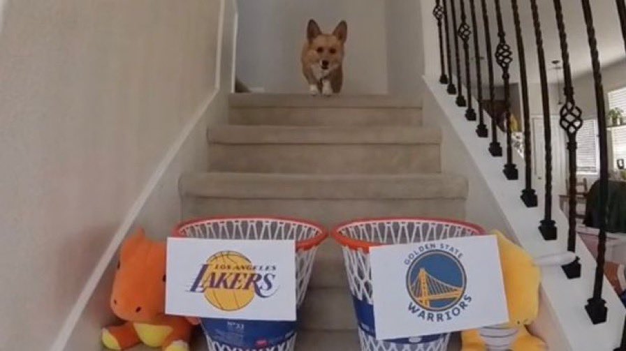 Lakers Daily tweet media