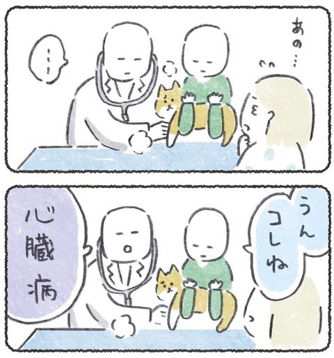 子犬が心臓病と診断された話、解決編が公開されました ●こちら→https://3v3.blog.jp/archives/20190176.html  ●最初からはこちら→