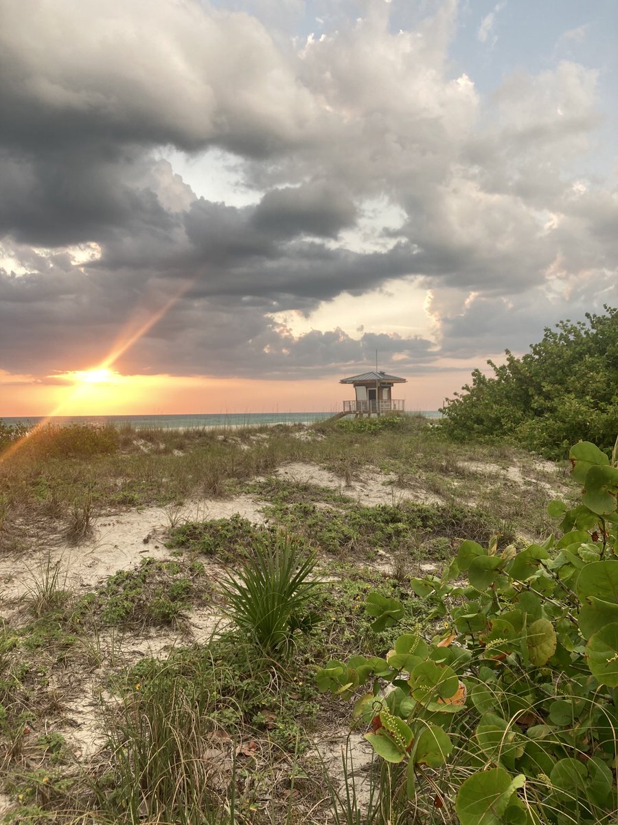 Island Unique tweet media