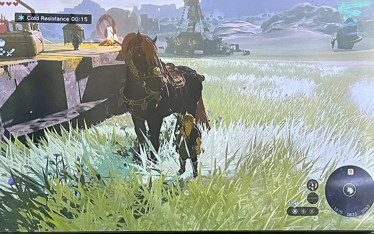 _gagafied_'s tweet photo. Awww TOTK keeps your horses from BOTW! I got my big boi back! https://t.co/MCAi66hTde