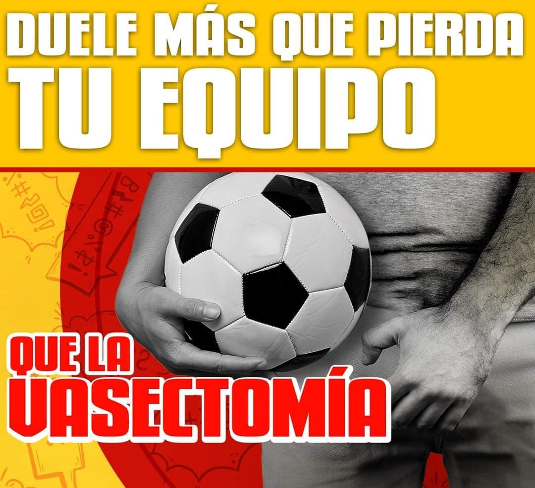 TobyMinon's tweet image. Que razón tienes 😂😂😂😂