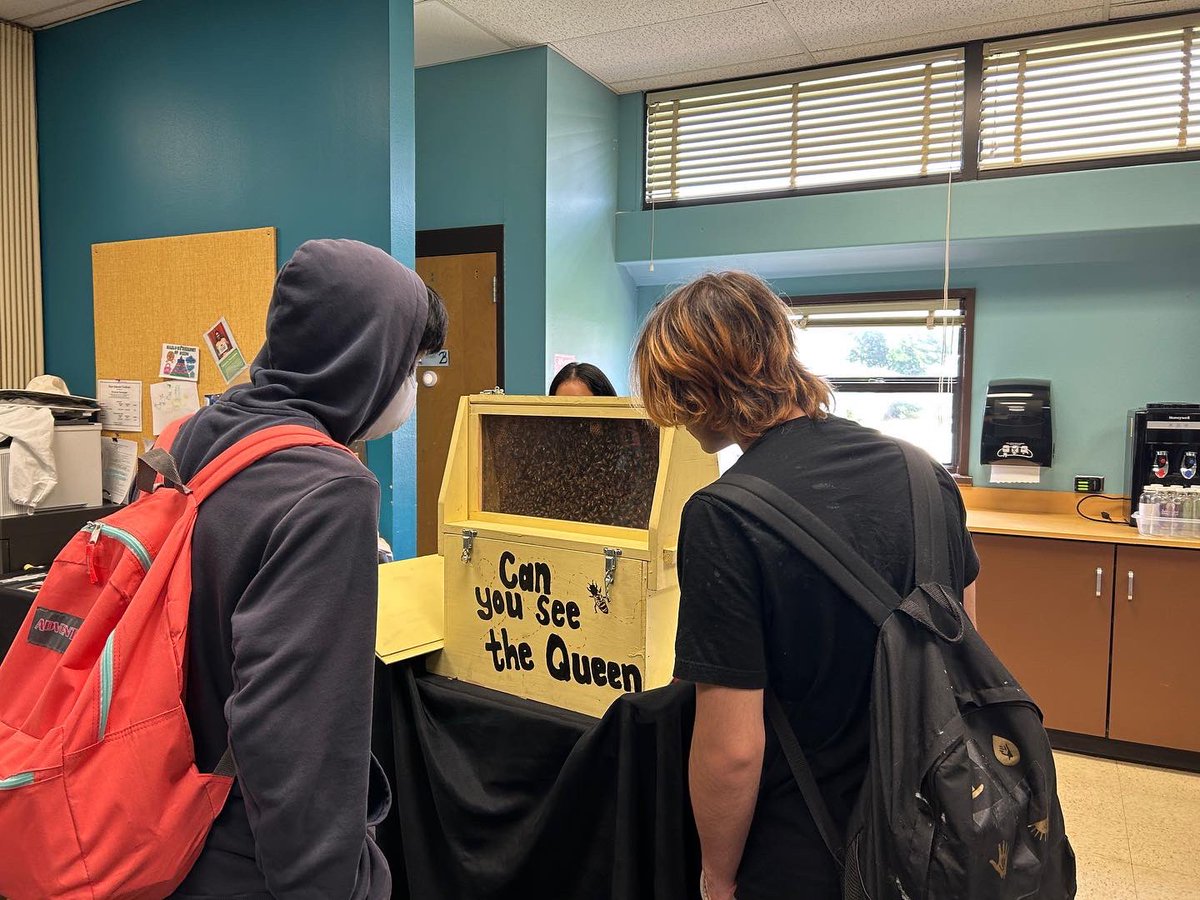 MsEdsonsKiddos's tweet photo. This week was a hive of activity in @cliftoncds hospitality 🐝. Students learned about #EcoTourism and hosting their #Bee101 event for other students across campus.
@AISD_CTE @AustinISD @AustinISDGreen https://t.co/tstLxJsSYF