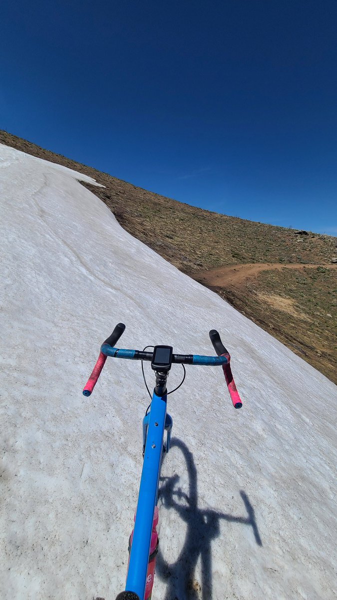 The desert is in bloom