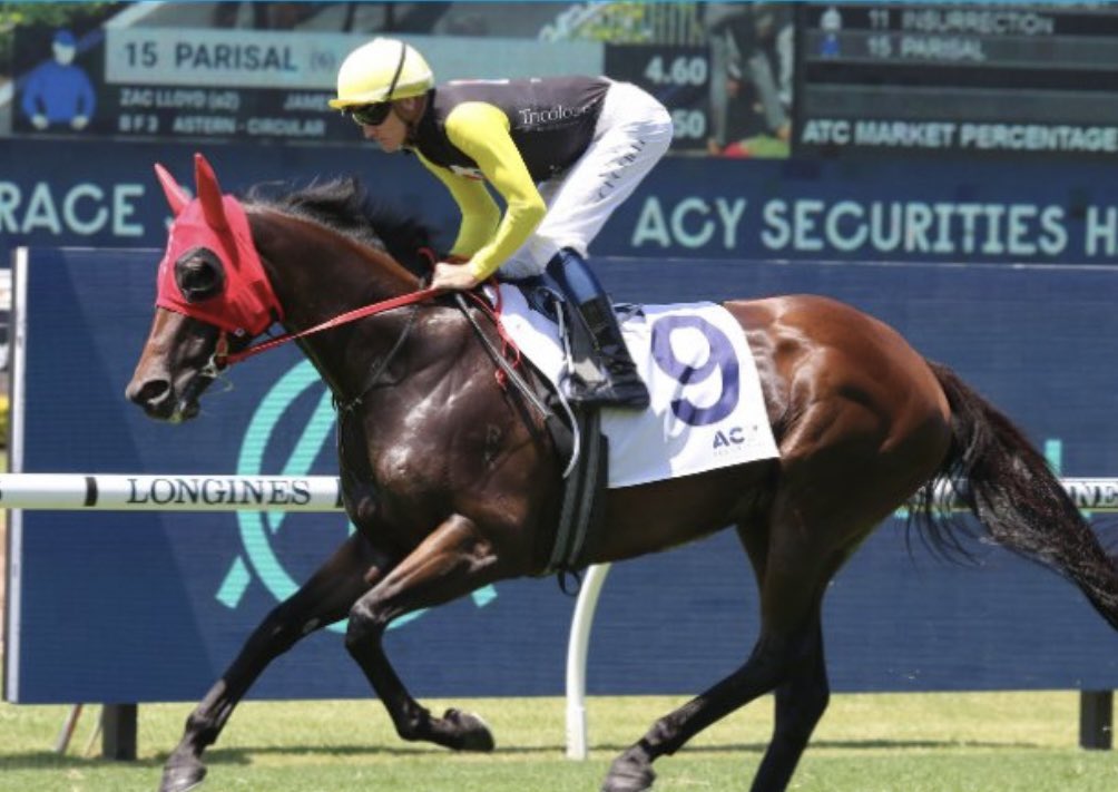 Tricolours Racing tweet media