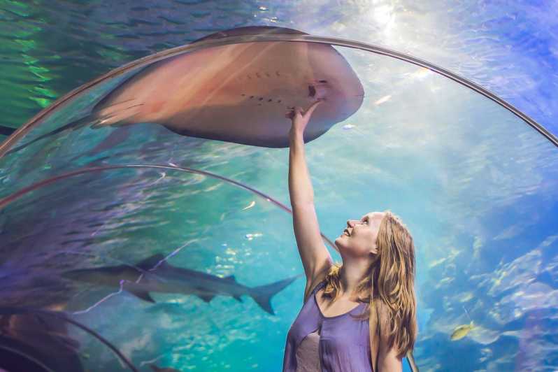 Dubai Aquarium and Burj khalifa Level 124 or 125 Combo Entry Ticket 
bookingxp.com/burj-khalifa-l…
#dubai #dxb #burjkhalifa #aquarium #entryticket #visitdubai #lovedubai #tourism #travel #vibes #citytour #dubaimall #bookingxp #thingstodoindubai