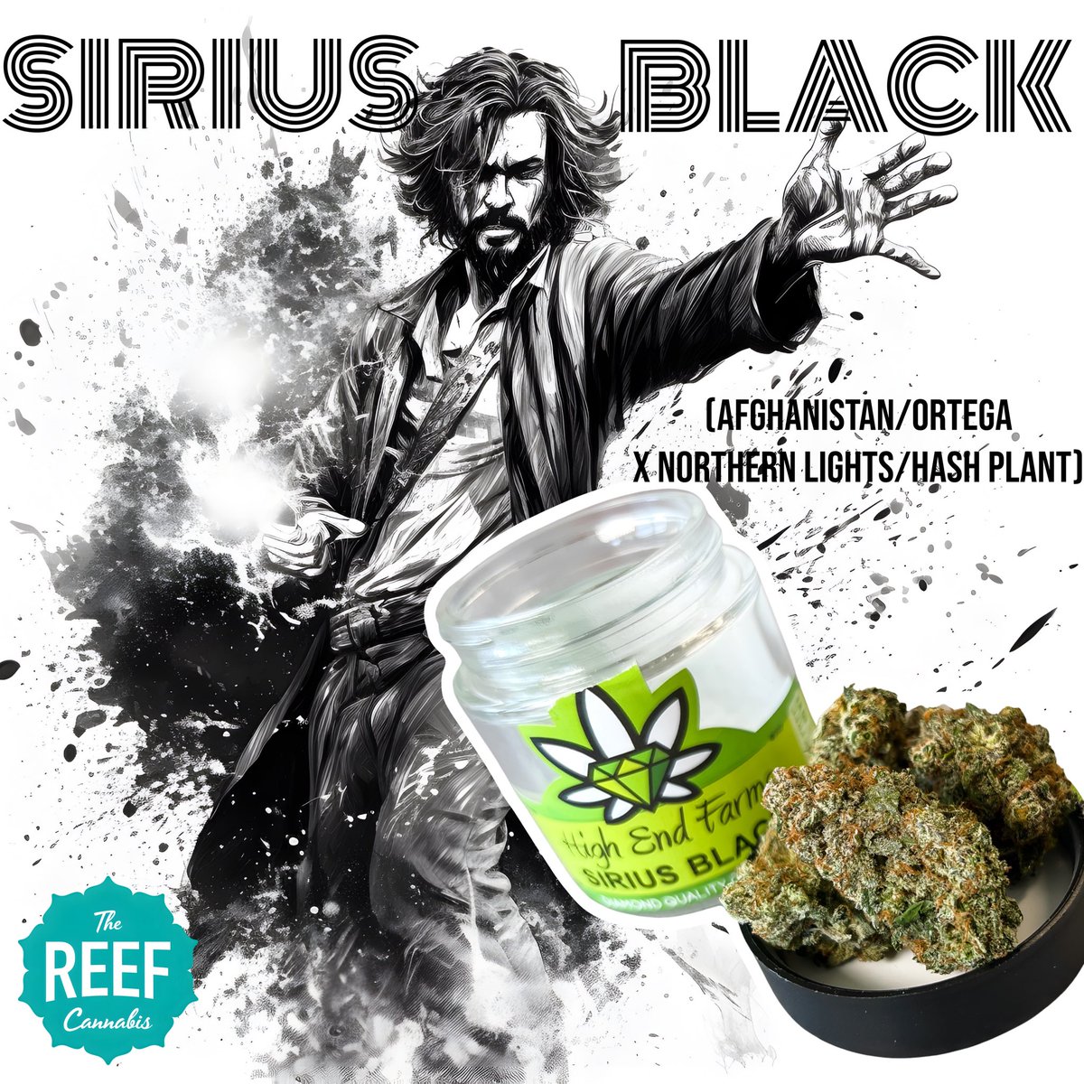 SIRIUS BLACK 🪄
from High End Farms