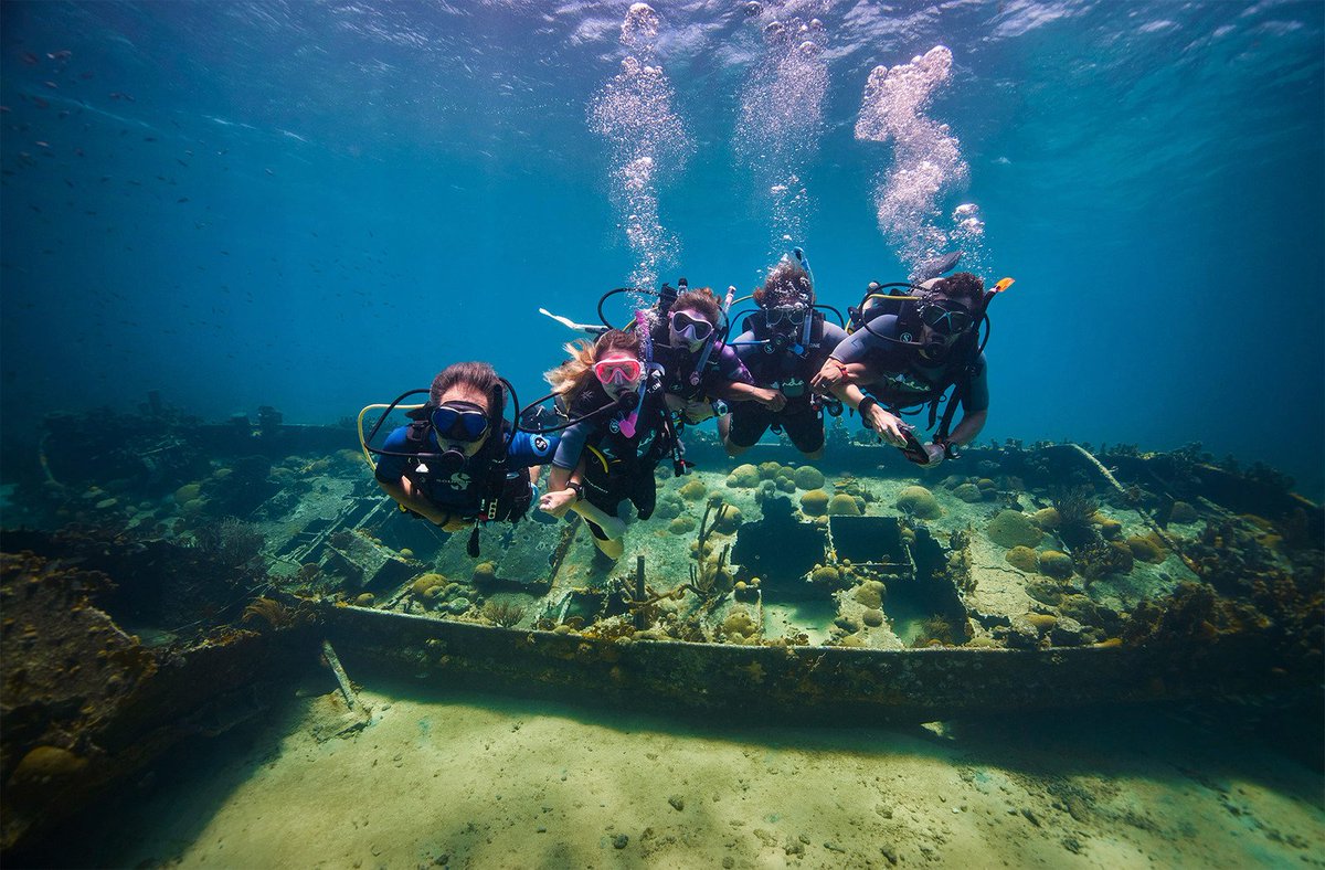 PADI's tweet image. Looking for some top-notch reading material to improve your diving skills or fuel your passion for the underwater world? Check out the top 10 PADI blog posts of all time! Click the link to explore the best of the best! 🌊🤿

padi.co/hgjy5x