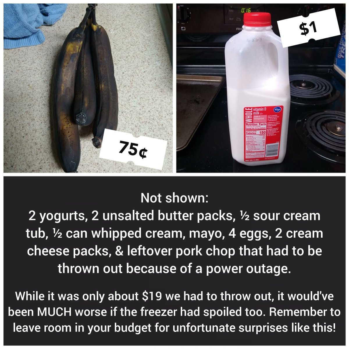 Happy #FoodWasteFriday 🙃

I should've made banana bread! But, aside from that, it wasn't a terrible week on a personal level.

We did have the fun surprise of power going out for half the day though, so we lost all the fridge perishables.

Remember to budget for surprises, too!