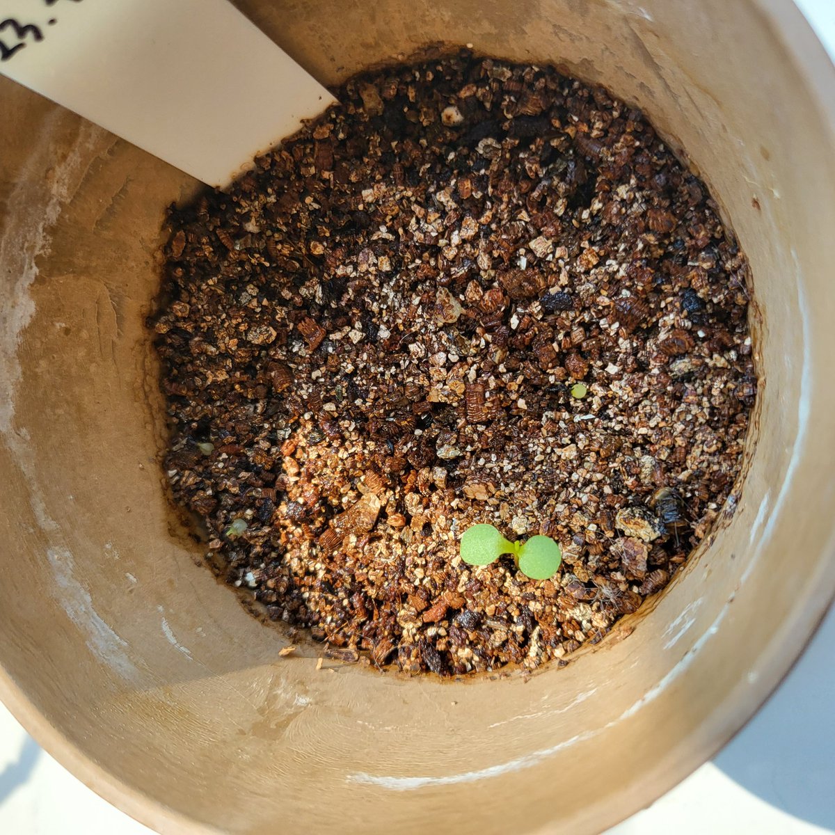 하날하눌 tweet media