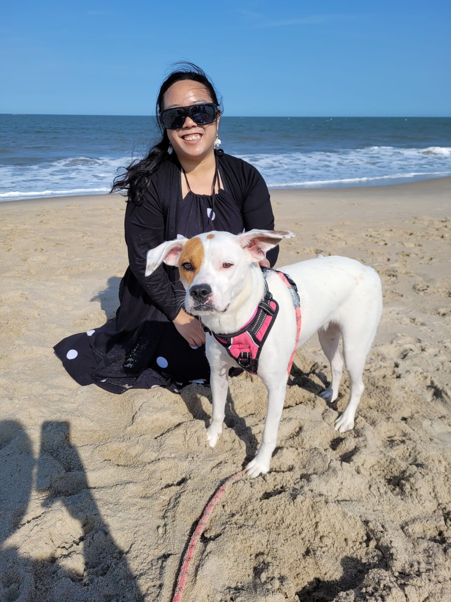 Karen Chan tweet media