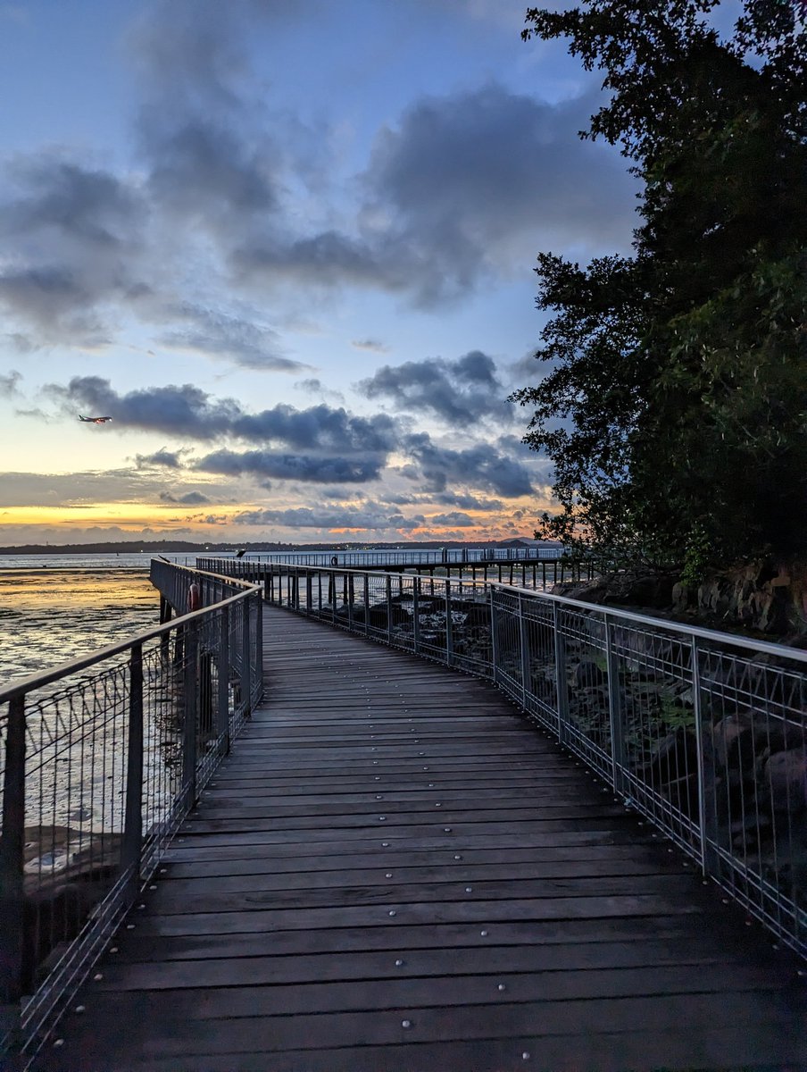 Pavarness's tweet photo. It's always a privilege to be in nature.
Sat &amp; Sun: leisure dives in Tioman
Mon: Sungei buloh with horseshoe crabs &amp; seagrasses
Tue: 5 seagrass sites around St John's Island.
Wed: sediment trapping at Chek Jawa, Ubin. https://t.co/nnXUMB9Wqm