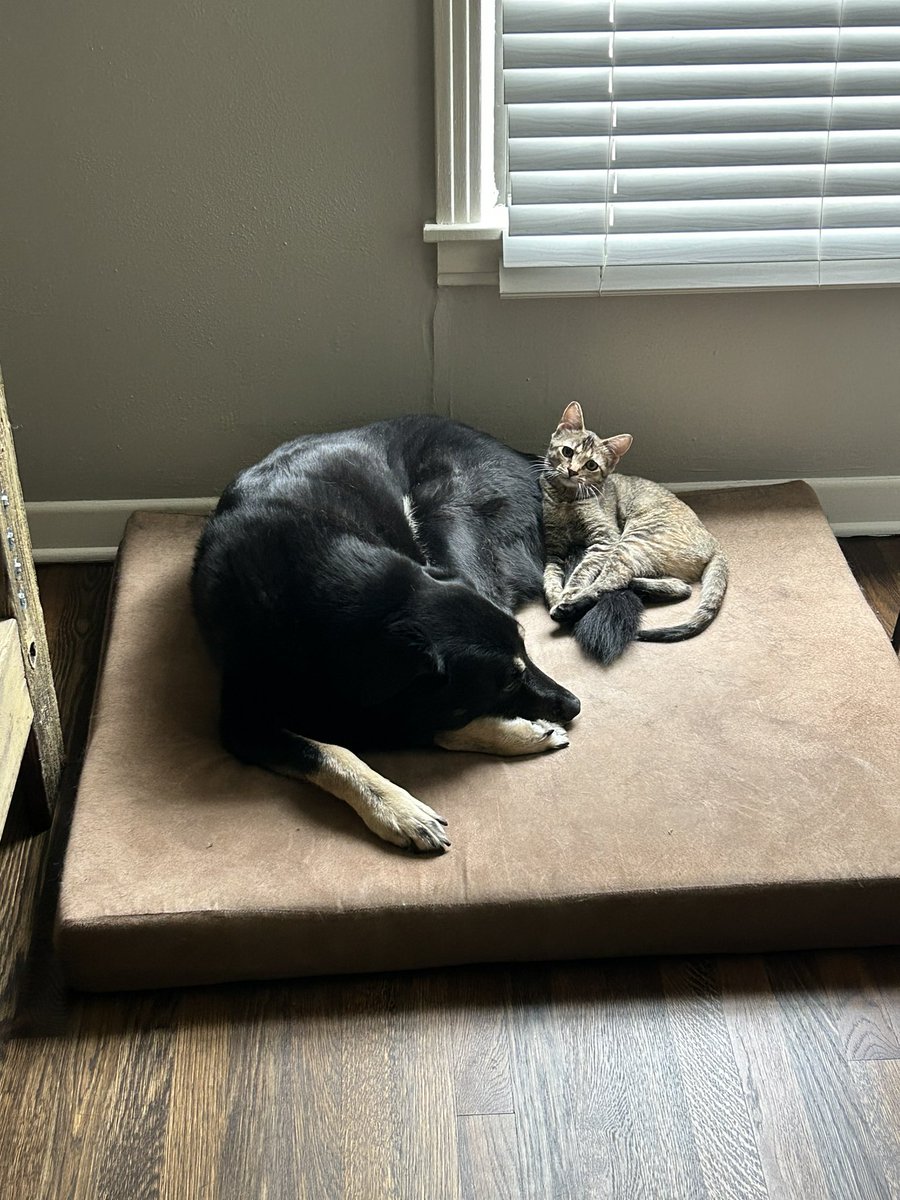 Tauri Cox (@tauricox) on Twitter photo 