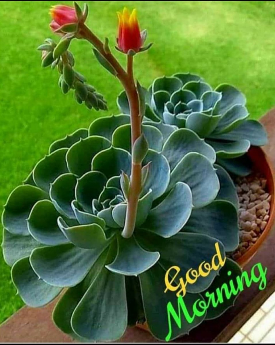 Roopram89508161's tweet photo. @Anuradha_Patel9 @pushpathak https://t.co/qS6RrzoCMv