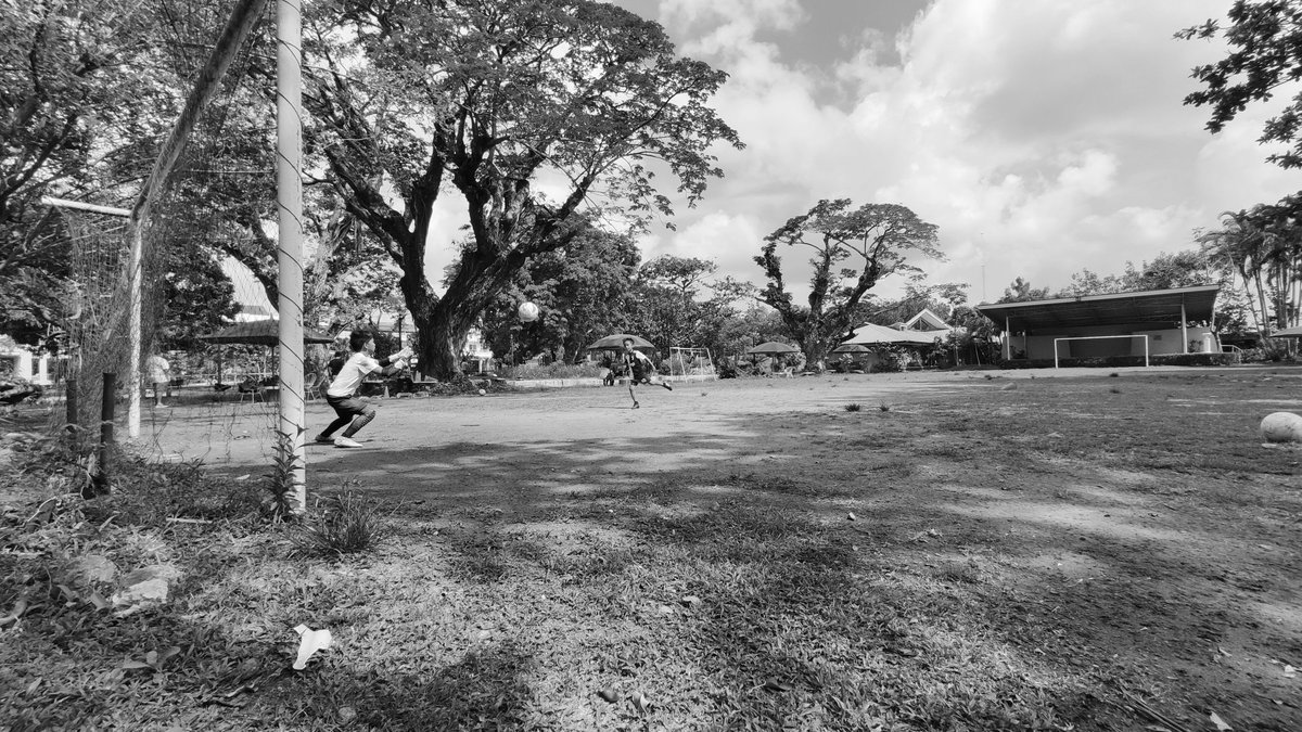 zeendrom tweet media