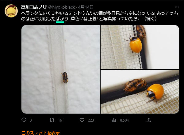 例のセーフ判定ので検索して、上位に有った自分のツイートでの法則分かった。これだ。水色の下線部参照。 