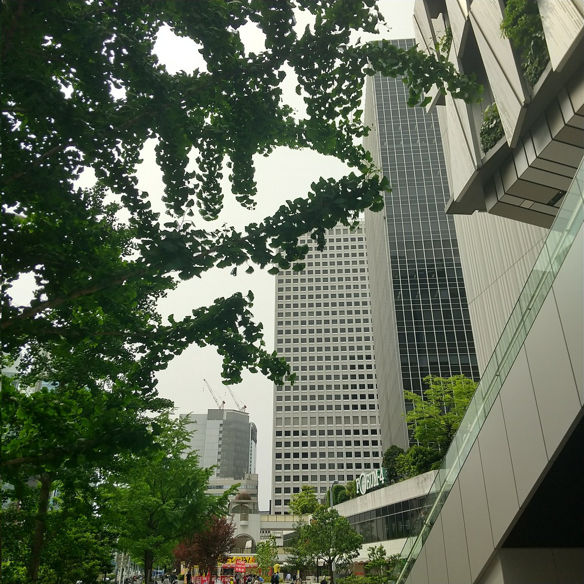 adisnet_com's tweet photo. おはようございます❗️
飛び飛びになっておりますTwitter…。娘の進学希望が決まるまで…育児優先ですが…新システム開発にもからんじゃって、もうたいへん😖💦
現在、大阪に英語の試験に連れてきていますが…また大阪で迷子なりました…😭

#Google先生が道を見失う https://t.co/rTHkK2lkAn
