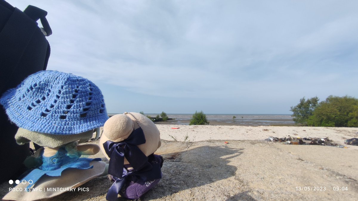CirnoFumoTan's tweet photo. "By the beach...."
.....prior to cleanup work.
I didn't bring you two out to go on a holiday.
#cirnoo #salterlily #touhou #fumo #sanriofgo #plushies #batulaut https://t.co/yT7u3EKKuw