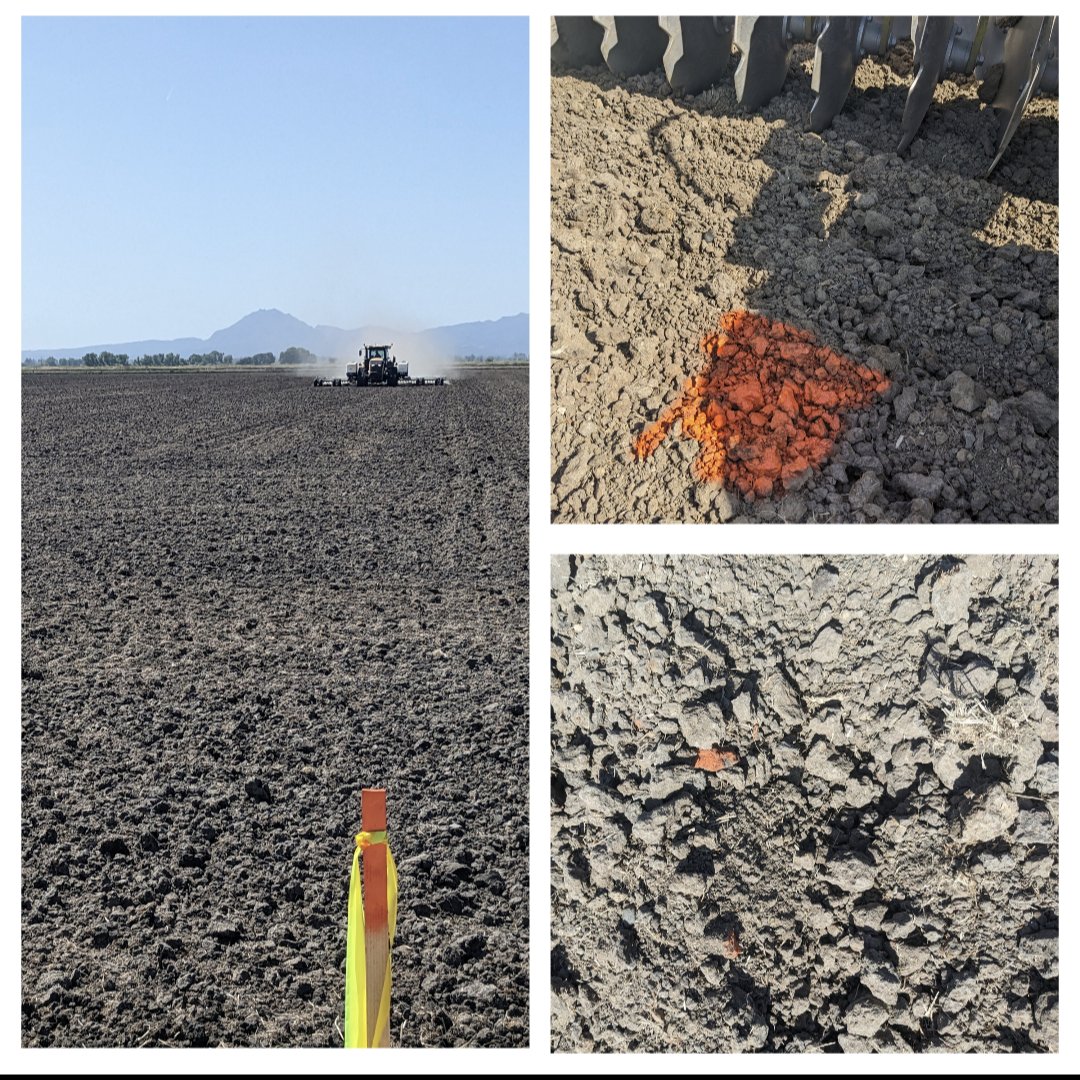 Tracy Schohr (@beefnsushi) on Twitter photo Vacay science day .... Spent the day at family rice farm with <a href="/RyanSchohr/">Ryan Schohr</a> setting up some trials to test out some new techniques ๐พ ๐ ๐ ๐บ๏ธ !! Vacay science day .... Spent the day at family rice farm with <a href="/RyanSchohr/">Ryan Schohr</a> setting up some trials to test out some new techniques ๐พ ๐ ๐ ๐บ๏ธ !!