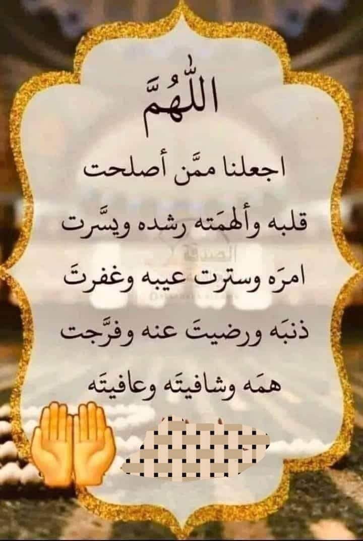 وحيد أبو ياسر tweet media