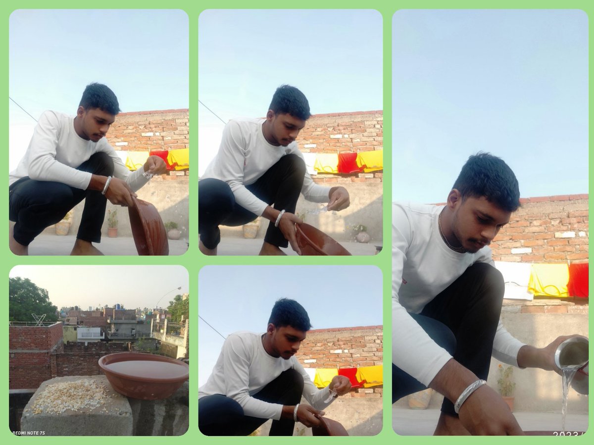 krishna3647's tweet photo. #10DaysChallenge  #BeKindToAnimals #AdoptDontShop
#FoodForAll #EveryLifeMatters #WeCare #ShelterForAll #Not_ME_But_YOU #NSS #NSSOU #Chandigarh 

@nssopenunit @ibikramrana @binesh_bhatia @ritikaverma_pu https://t.co/YNVNnct3wD